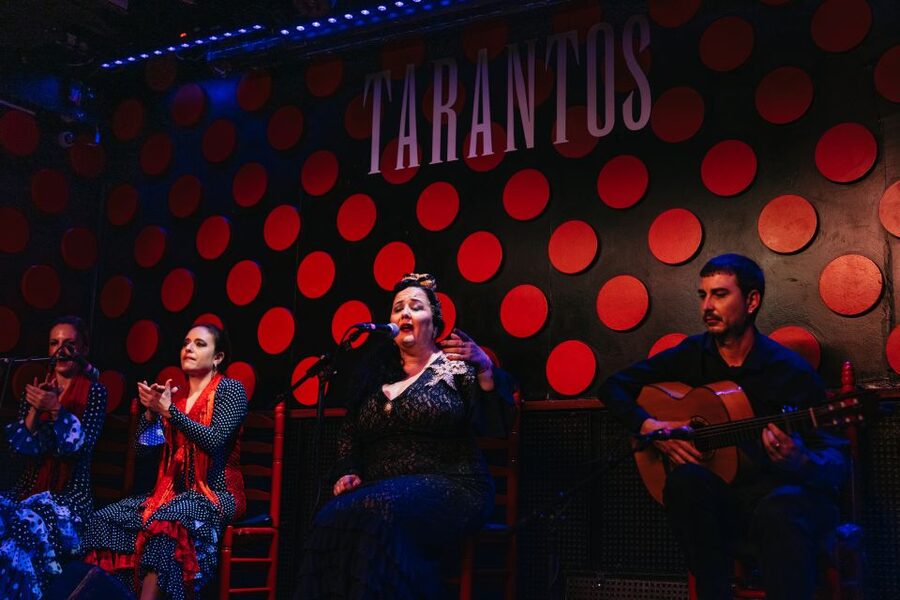 Barcelona: Tapas and Flamenco Experience - A short show with plenty of force