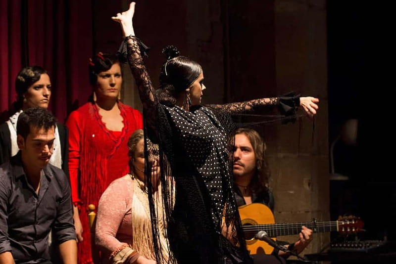 Barcelona: Tapas and Wine with Flamenco Show in the Old Town - Who will enjoy this Barcelona evening most