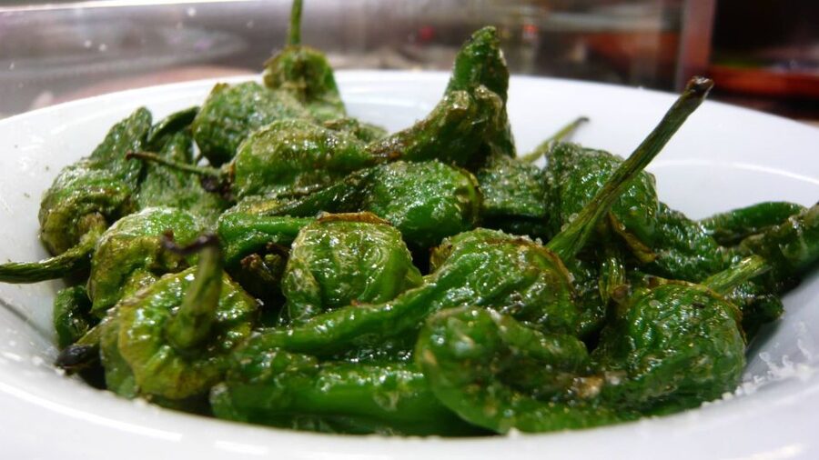 Barcelona: Tapas & Picasso Museum Guided Walking Tour - Practical advice before you book