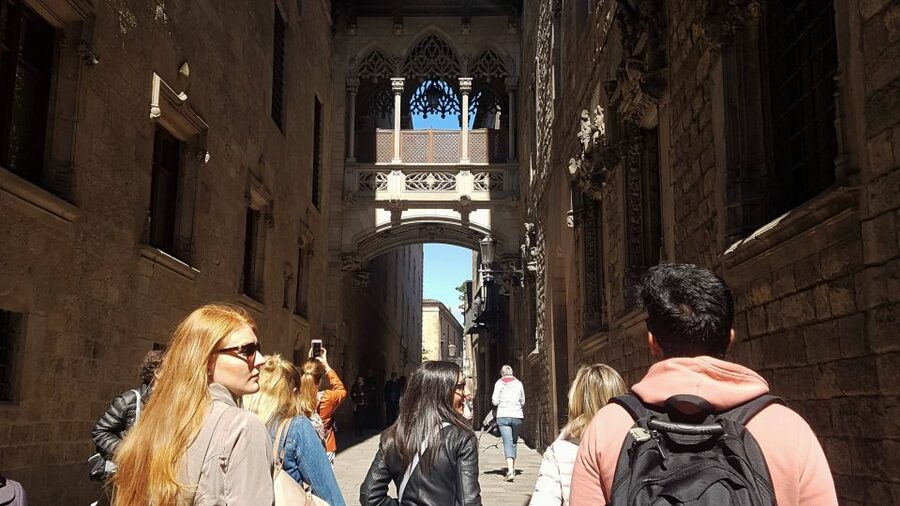 Barcelona: Tapas & Picasso Museum Guided Walking Tour - Who will enjoy this four-hour walk?