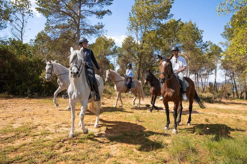 Barcelona: Walking and Horse Riding Day-Trip in Montserrat - How the day is paced