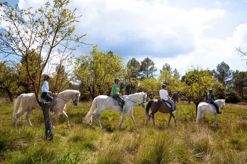 Barcelona: Walking and Horse Riding Day-Trip in Montserrat - Meeting your group on Passeig de Gràcia