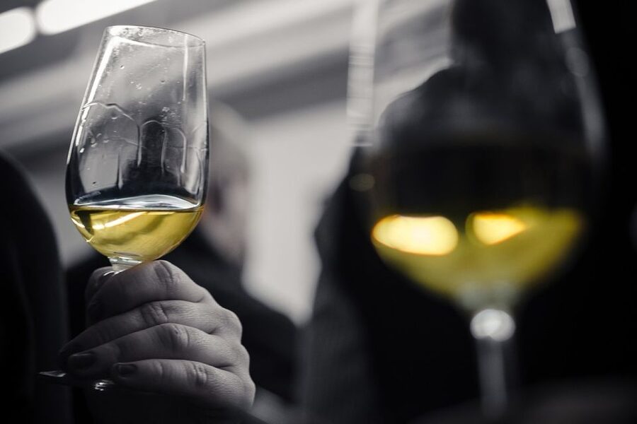 Barcelona Wine Tasting: Catalan and Spanish Wines - What happens during the 90-minute session