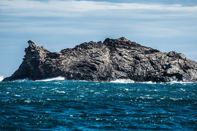 Boat through Cap de Creus and Port Lligat visit Cadaqués 1H30 - Who will enjoy this day most