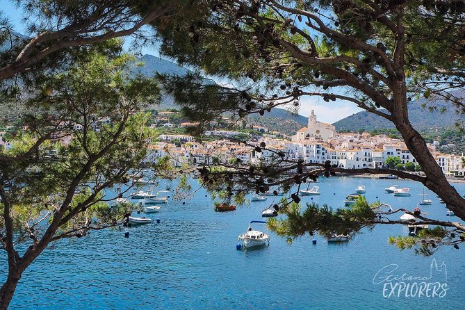 Cadaqués & Dalí House-Museum day trip from Girona (tickets included) - What the $174.42 price includes