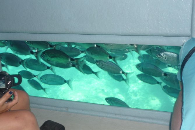 Cala Murtra: Immerse yourself in the beauty of an underwater world - Crowds can change the experience