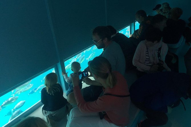 Cala Murtra: Immerse yourself in the beauty of an underwater world - Is $24.08 a fair price?