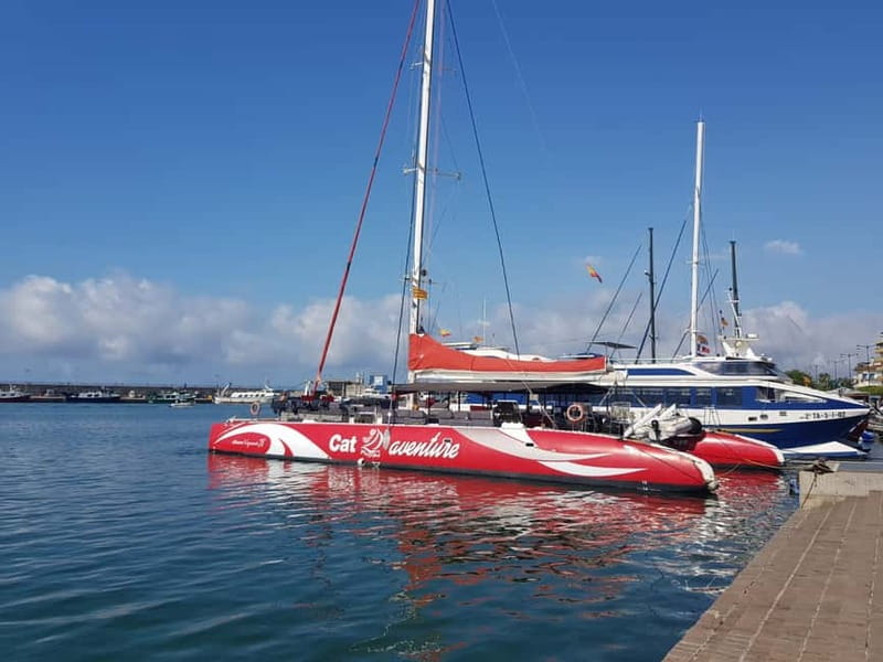 Cambrils/Salou: Coastline Catamaran 2h with drinks, pickup - What the Balinese bed adds