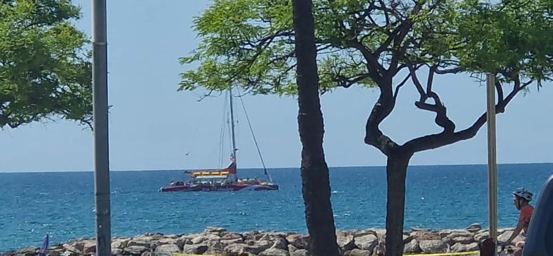 Cambrils/Salou: Coastline Catamaran 2h with drinks, pickup - Practical details before you book