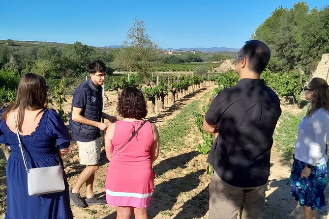 Cava tour to 3 family wineries with hotel pick-up - What You Actually Taste