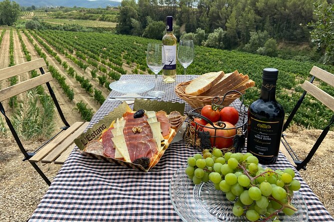 Cava tour to 3 family wineries with hotel pick-up - Food, Dietary Needs, and the Pace of the Day