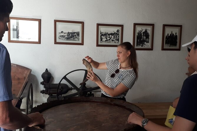 Cava tour to 3 family wineries with hotel pick-up - Giro del Gorner: A Five-Century Cellar and Local Lunch