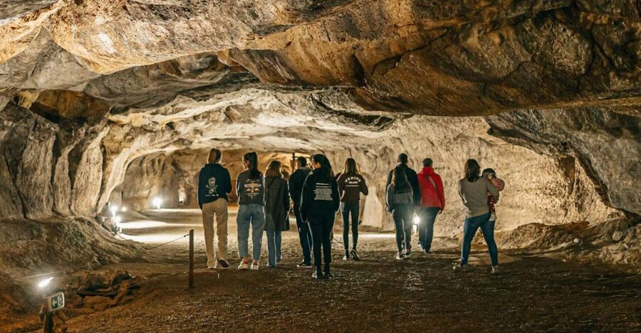 Caves prehistory of Esplugues Francolí with hotel pickup - Key points at a glance