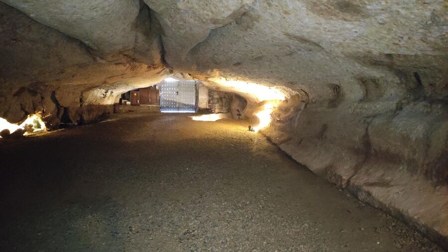 Caves prehistory of Esplugues Francolí with hotel pickup - Practical advice before you book