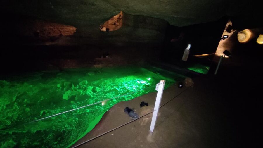 Caves prehistory of Esplugues Francolí with hotel pickup - Should you book the Coves de lEspluga excursion?