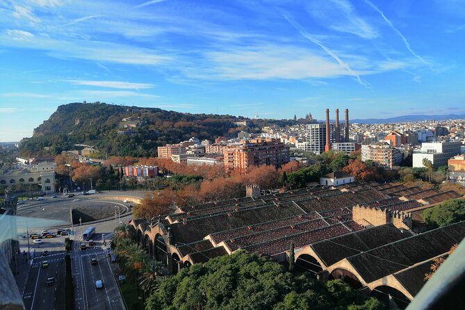 Columbus Monument Access With Barcelona Seaside Guided Tour - Columbus Monument and the final climb