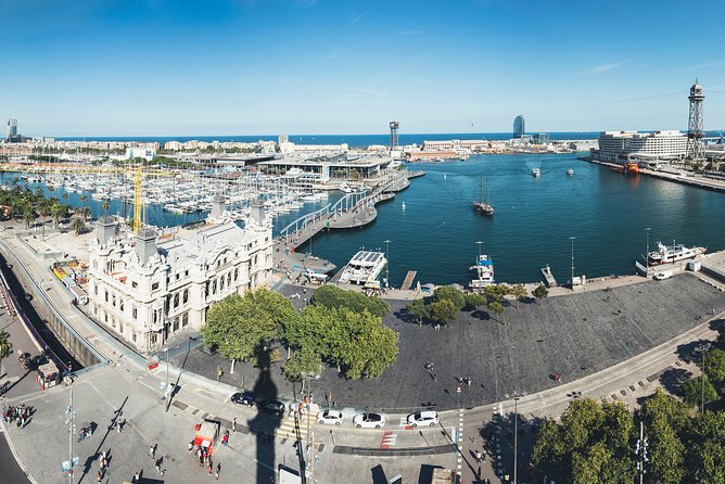Columbus Monument Lookout: Scenic Ramblas, Sea and Montjuïc Views - The wine question and what is included