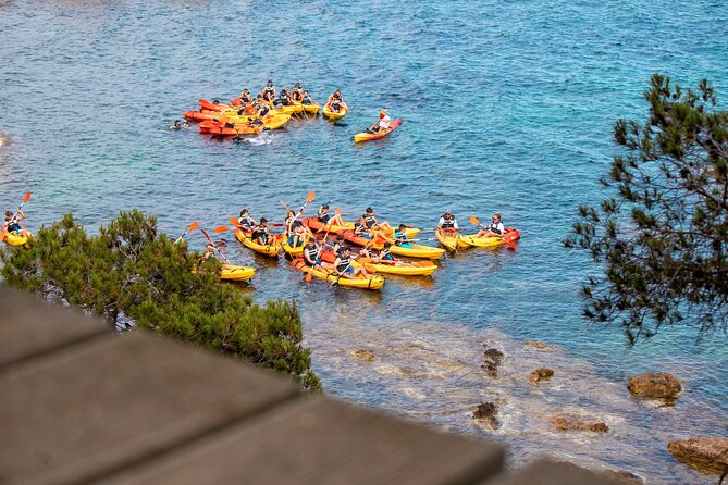Costa Brava Guided Kayak and Snorkeling Excursion in Playa de Aro - Key points to know before you book