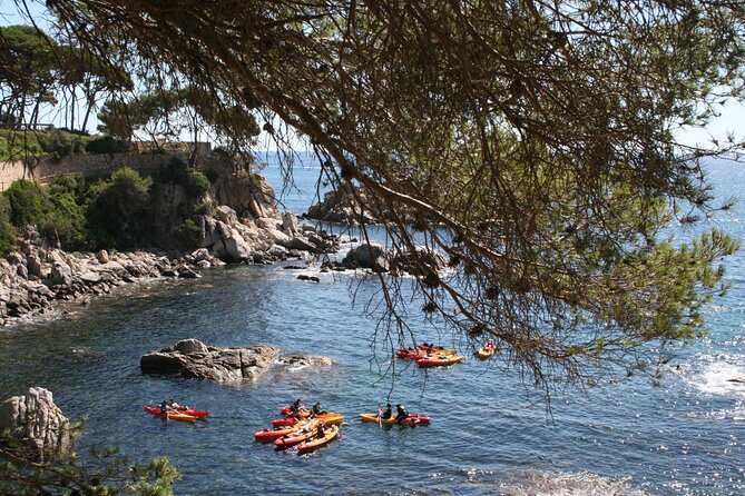 Costa Brava Guided Kayak and Snorkeling Excursion in Playa de Aro - Why this short Playa de Aro outing works