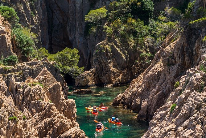 Costa Brava Kayaking and Snorkeling Small Group Tour with Lunch - What the $102.79 price really buys you
