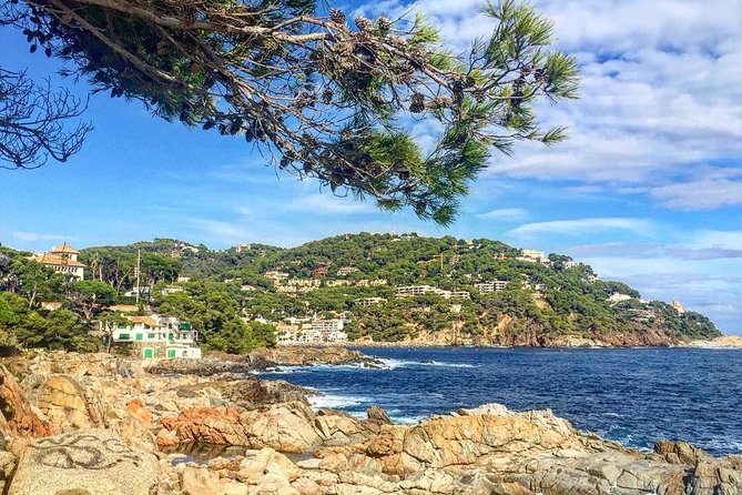 Costa Brava Private Experience by Car with local expertise - Fishing towns, coves, and the blue Mediterranean