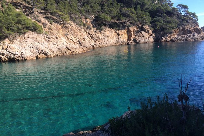 Costa Brava Scenic Hike & Tossa de Mar Small Group Tour - Who will enjoy this tour most