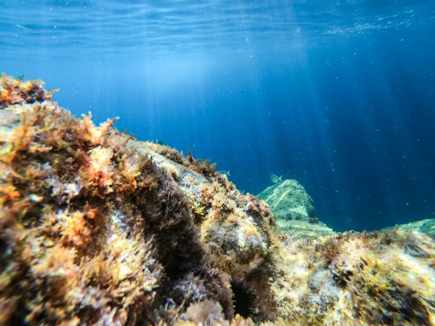 Costa Brava: Sea Caves Kayaking and Snorkeling Tour - What the guides add to the experience