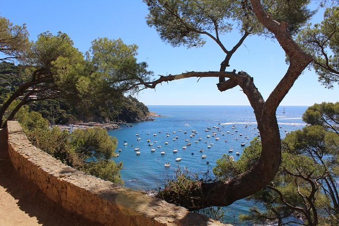 Costa Brava Typical Towns Full Day Tour from Barcelona - Llafranc: lunch, beach time, and a slower pause