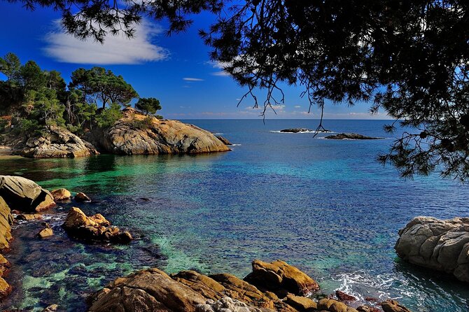 Dali Museum and Costa Brava Small Group Tour - The guide can make or break the day