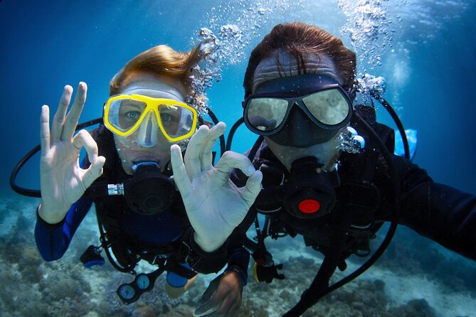 Discover PADI Diving in Barcelona - What this Barcelona scuba session really is