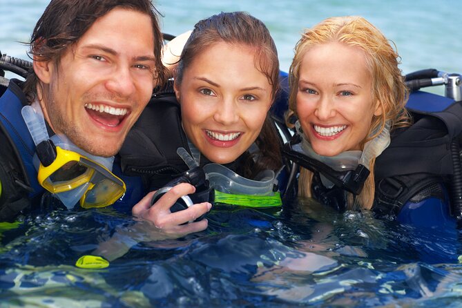 Discover PADI Diving in Barcelona - What you might see below the surface
