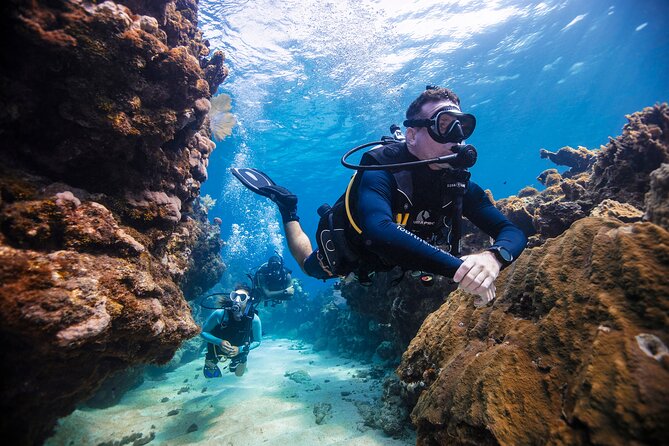 Discover Scuba Diving in Palamos - The value of $132.16