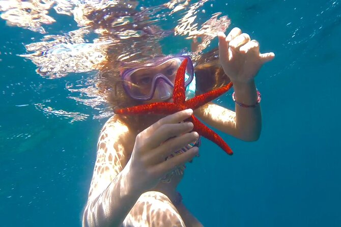 Discover secrets of the sea swimming cave and underwater vision - Is the $36.12 price good value?