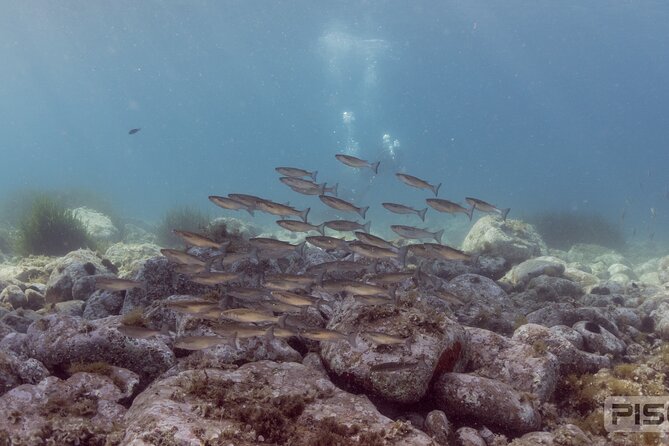 Double Discover Scuba Diving - The Theory Session Gets You Ready
