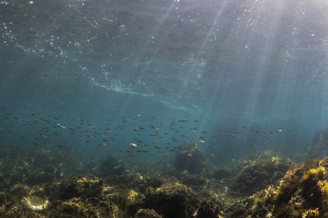 Double Discover Scuba Diving - My Take: Check the Price, Then Consider Booking