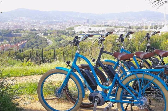 E-Bike tour in Barcelona with English Guide - Is $49.58 a fair price?