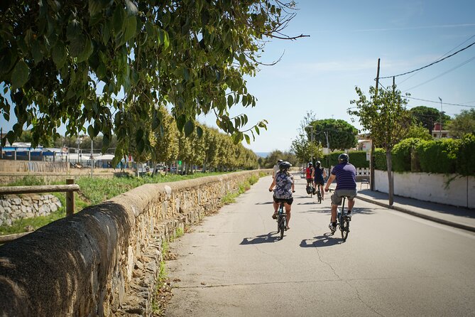 Ebike Tour, Winery, Wine Tasting & Sailing Experience(car option) - Port Masnou and the change from land to sea