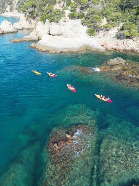 EXCURSION GUIADA EN KAYAK - INICIACIÓN 1h 15m - Key points to know before you book