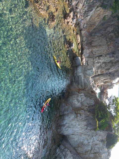EXCURSION GUIADA EN KAYAK - INICIACIÓN 1h 15m - What makes the $29 price worthwhile
