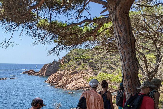 Explore Costa Brava & Tossa de Mar Coastal Trails, Snorkel & Meal - A Set-Menu Lunch in the Middle of the Day
