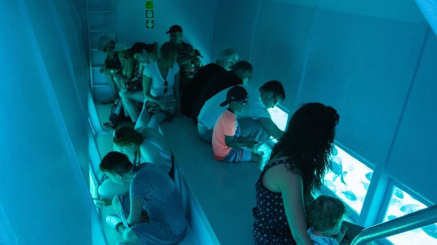 Explore the Medes Islands & Discover the Magic of Estartit! - Who will enjoy this catamaran cruise