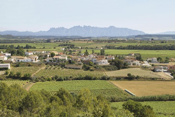 Food and Wine Small Group Tour from Barcelona - Maximum 8 people - Key points to know before booking