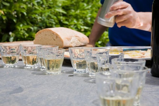 Food and Wine Small Group Tour from Barcelona - Maximum 8 people - Leaving Barcelona for Catalan country roads