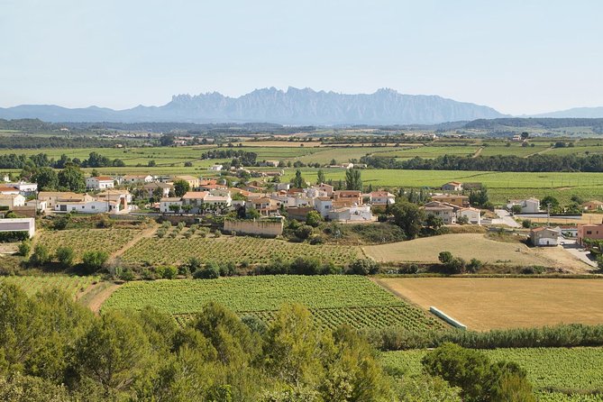 Food and Wine Small Group Tour from Barcelona - Maximum 8 people - The 16th-century farmhouse and olive mill