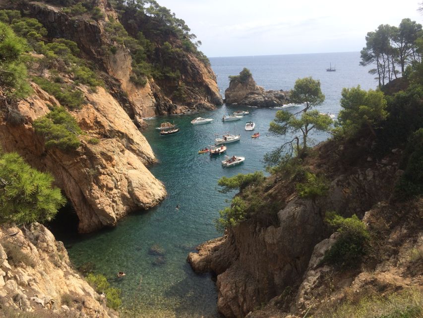 From Barcelona: Costa Brava Hike, Snorkel & Tossa de Mar - Coves made for a swim