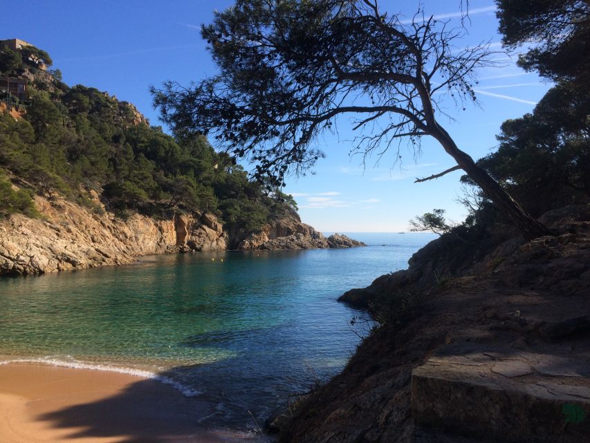 From Barcelona: Costa Brava Hike, Snorkel & Tossa de Mar - Who will enjoy this day most?