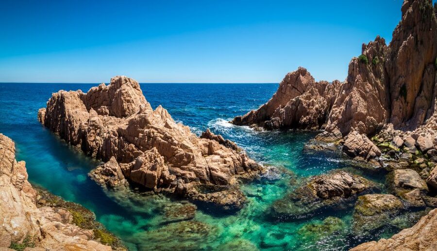 From Barcelona: Costa Brava Trails, Snorkeling & Cliff Jump - Snorkeling in clear Mediterranean coves
