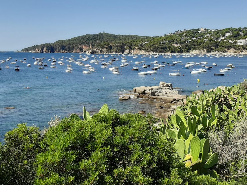 From Barcelona: Costa Brava Typical Towns full day tour - Pals and the final hilltop view