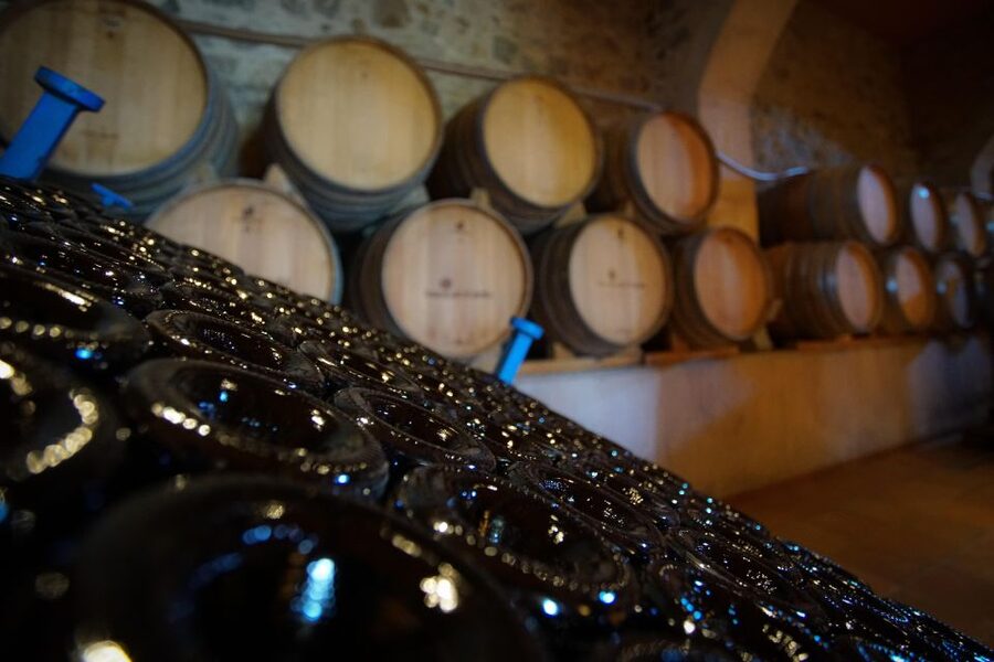 From Barcelona: E-Bike and Sailing Tour with Wine Tastings - What to wear and bring