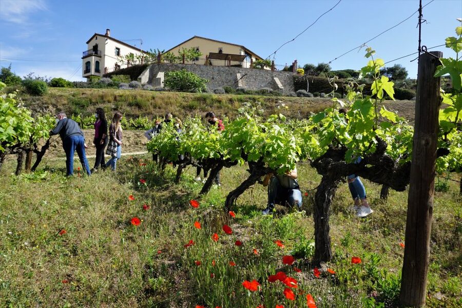 From Barcelona: E-Bike and Sailing Tour with Wine Tastings - The 1.5-hour ride to Alella